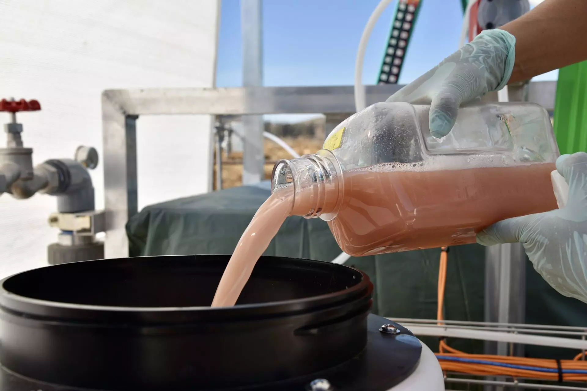 Methane-Eating Microbes Pass Key Test Cutting Dairy Farm Emissions