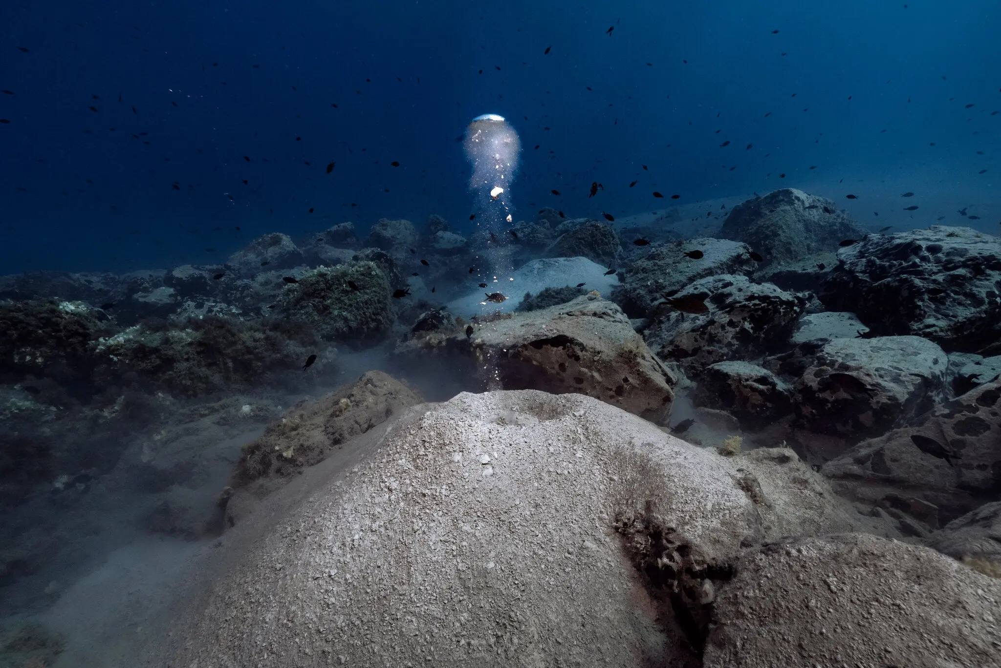 The Very Hungry Microbes That Could, Just Maybe, Cool the Planet