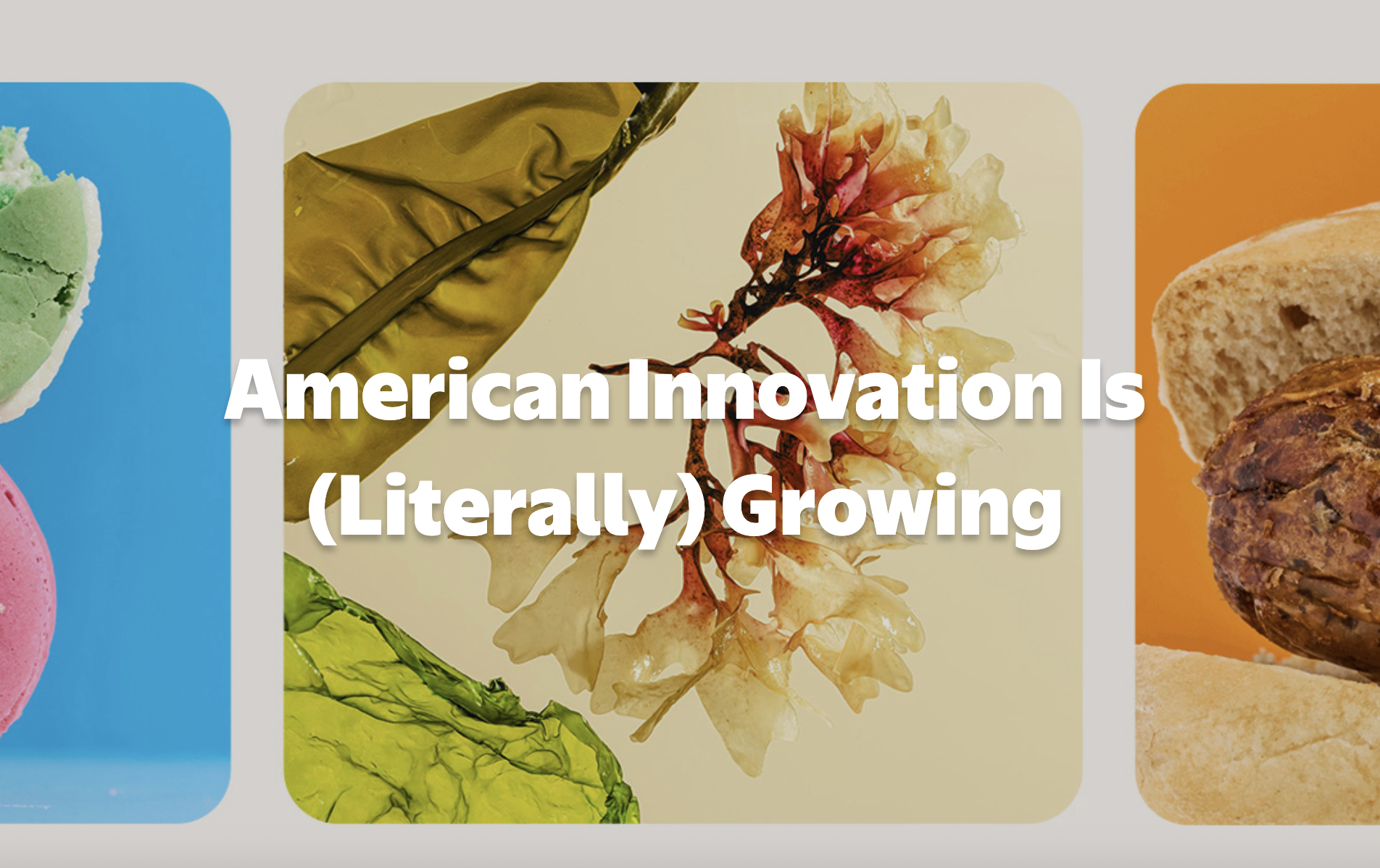 American Innovation Is (Literally) Growing