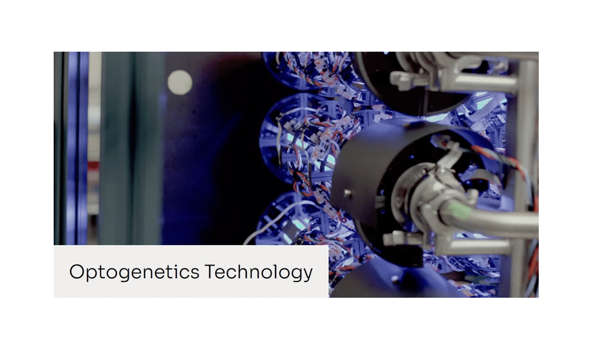 Optogenetics Recognized with the Nobel Prize